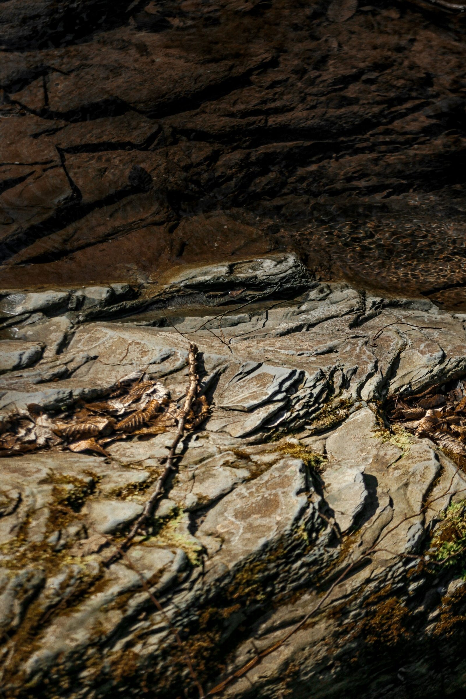 brown and gray rock formation